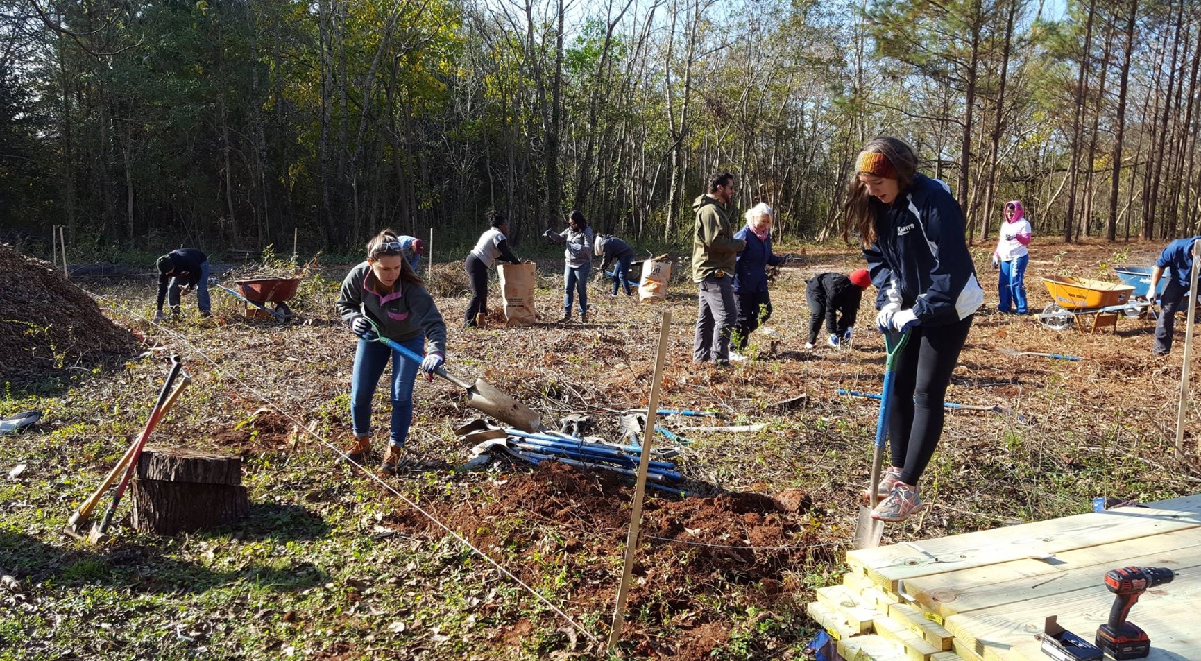 Volunteers digging, mulching, and hauling wheelbarrows to build out Atlanta's food forest on a sunny fall day